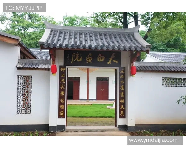 成都滑板队引领潮流新风尚打造城市文化新节奏